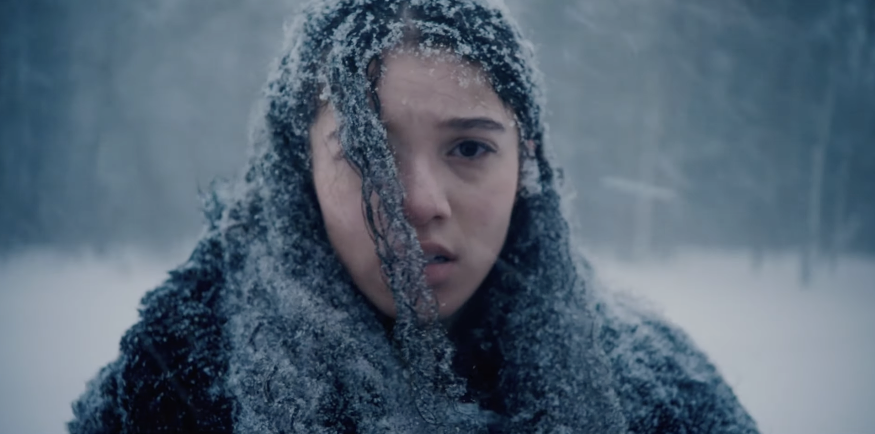 ‘Hair of the Bear’ Plays Cat and Mouse in a Manitoba Winter | Northern Reel